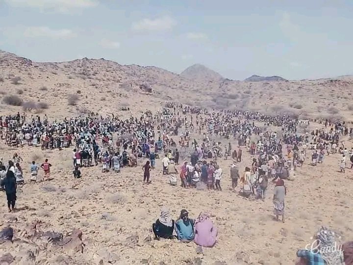 صحافة| «اليمن السعيد» برعاية الرياض: تفريخ الميليشيات… بدلاً من دمجها